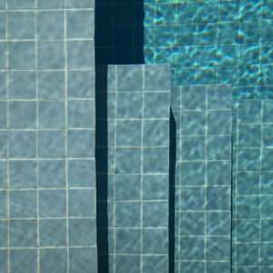 Blue-Dolphin-arborescence-sud-ouest
