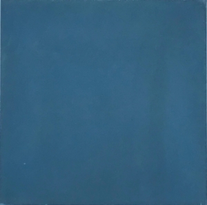 carreaux-de-ciment-64-BLEU-MARINE-2-