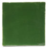 terre cuite Amazon Green B618