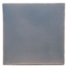 Blue-Dolphin-B051