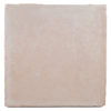 Oyster-Mushroom-White-B025