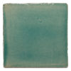 Shallow-Waters-B039