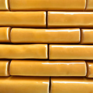-Yellow-Yolk-arborescence-sud-ouest