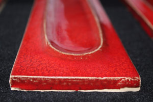 -Red-Chili-Pepper-arborescence-sud-ouest