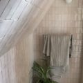 terre cuite-B025-Oyster-Mushroom-White-arborescence-sud-ouest