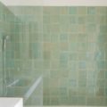 terre- cuite- Spearmint-Spa-arborescence-sud-ouest