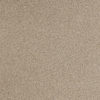 SB154_CAPPUCCINO_LEV
