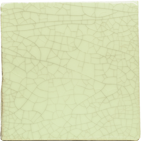 B204-Giraffe-Yellow