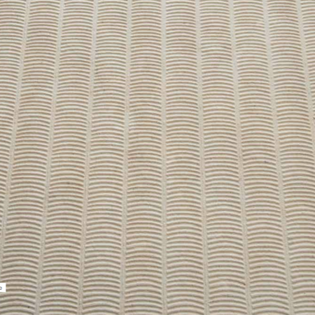Modele_TUBE_beige_arborescence_sud_ouest