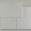 Perle_antique_arborescence_sud_ouest