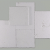 creme-antique-arborescence_sud_ouest