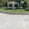 perle_antique_arborescence_sud_ouest_2