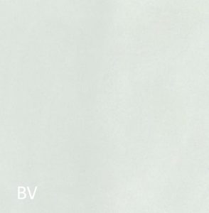 bv.1