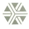 Carreau hexagonal Racine grey
