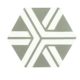 Carreau hexagonal Racine grey