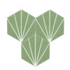 segment vert