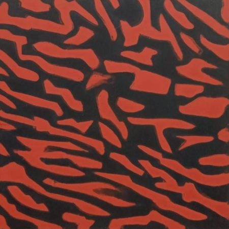 Carreau de ciment Zebra
