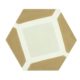 Carreau hexagonal Button