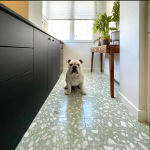terrazzo-vert-cuisine-arborescence-sud-ouest