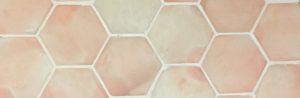 hex-Salmon73543
