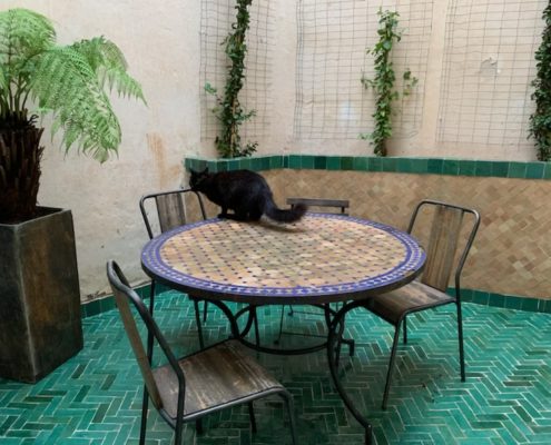 Terrazzo Zelliges Carreaux de ciment